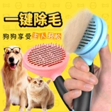 Pet Combat Cat Тедди золотые волосы посвященные собачьи пушистые артефакт для собак кисть кисть Большая собака расщепляет питомец