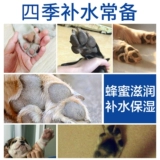 Германия Терри Петут Кромный Крем кремовый крем крем