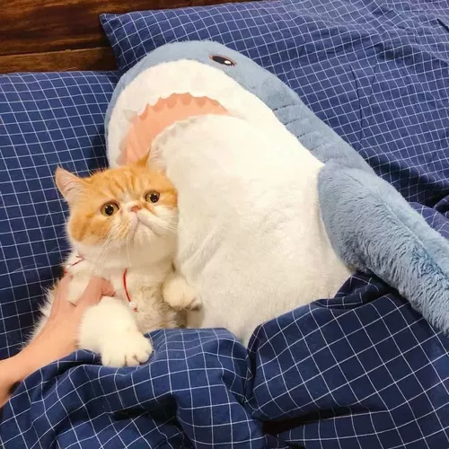 Акула, плюшевая подушка, игрушка, тряпичная кукла