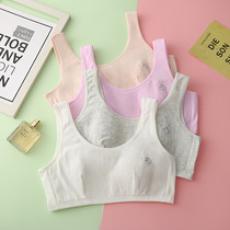  Girls  underwear during development cotton bandeau vest 9-10 years old 13 childrens bras 12 childrens primary school girls
