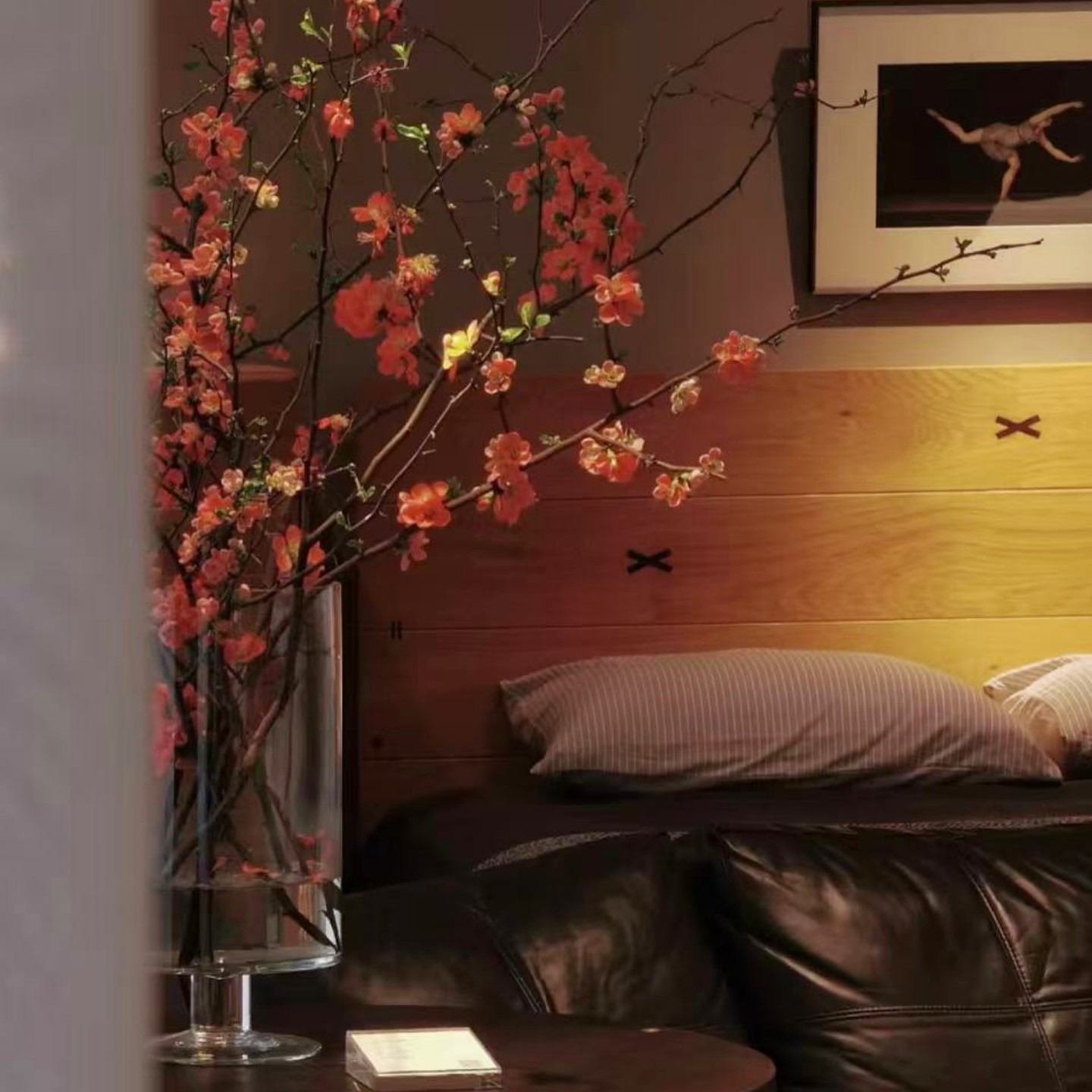 水培鲜枝海棠：让枯木焕发新春的神奇花卉