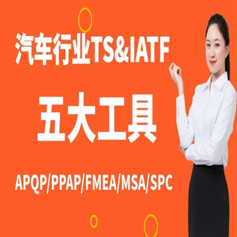汽车行业TS五大工具培训视频