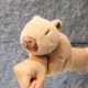 Два кольцевых коричневых дельфина