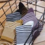 Vớ mùa thu cotton nữ Nghệ thuật retro Nhật Bản vớ của phụ nữ chải bông pinstripes cọc cơ bản của vớ nữ vớ - Vớ sợi tre tất cao cổ nam