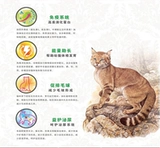 Наслаждайтесь Wugu Fresh Meat Koba в кошачьи еда 10 кг Гарфиинг Короткая персидская кошка Полная фаза кошачьего питания Основное питание