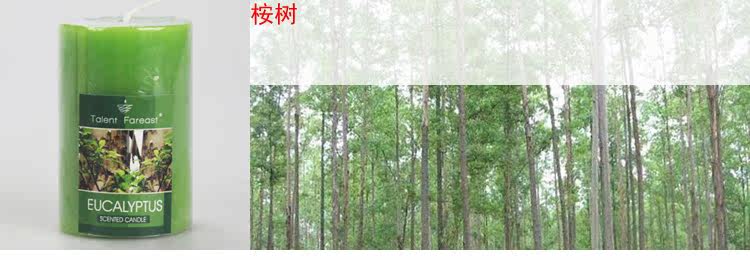 Bougie        - Ref 2487921 Image 12