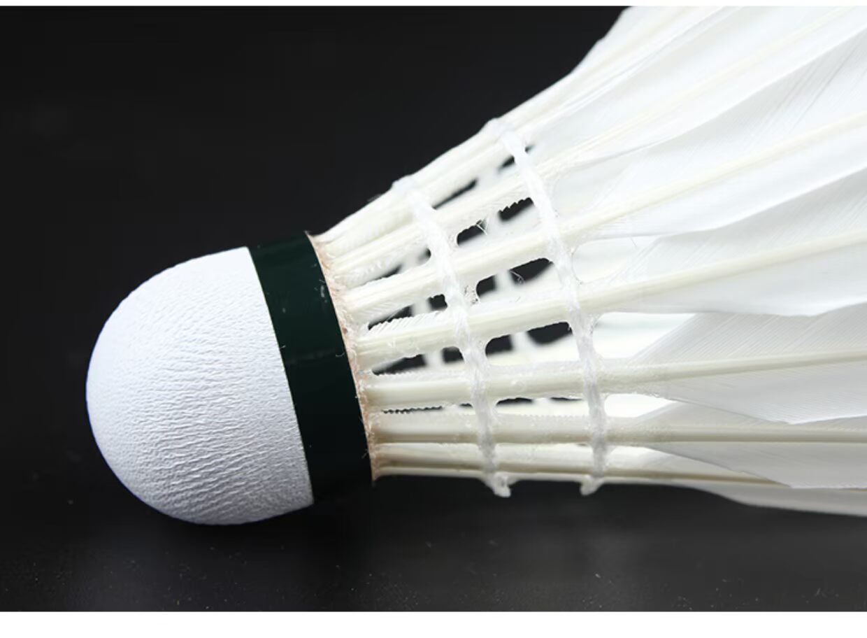 Wuzhou Sports Ya Shi Long Số 6 Cầu lông số 7 RSL Số 5 Trò chơi lông vịt Bóng số 4 Kháng cự 12 Gói số 10 vợt cầu lông cho người mới chơi