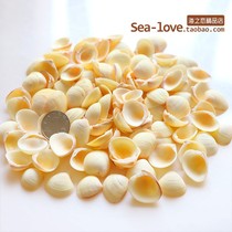 Egg Shell natural shell conch handmade fish tank landscaping Mediterranean drift bottle creative photo frame material decoration