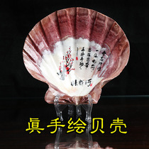 Natural big shell conch ancient poetry Plum Blossom hand-painted calligraphy works authentic home furnishings decoration gift