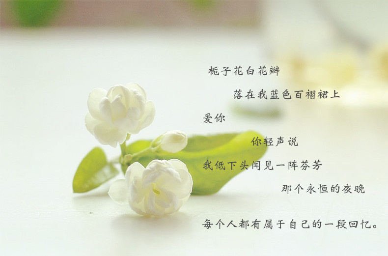 Nước hoa Feilan Bellis Carina 100ml Nước hoa phong phú nước hoa thơm và nước hoa mẹ - Nước hoa nước hoa coco chanel