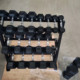 Home Gym Studio Fitness Equipment Fixed Rubber Dumbbell Men's Cast Iron Solid Hexagonal Rubber-Coated Dumbbell