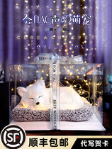 New Years birthday present Girls send girlfriends Girlfriends Emulation Doll Aparazzi Practical Creativity With Ritual Emotional Peoples Festival