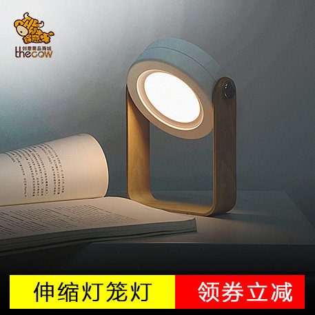Creative lantern 3D night light New stepless dimming USB light outdoor portable light three-speed white light table lamp