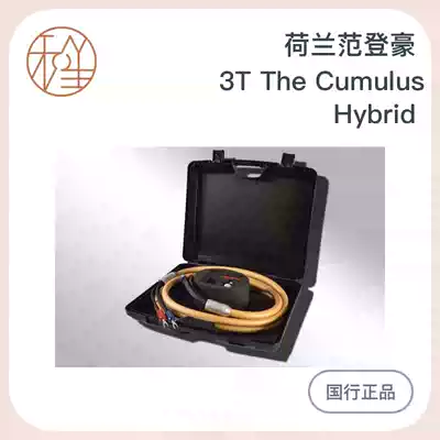 Hesheng Audio and video Netherlands Van den Haugh VDH 3T The Cumulus Hybrid Limited audio speaker cable