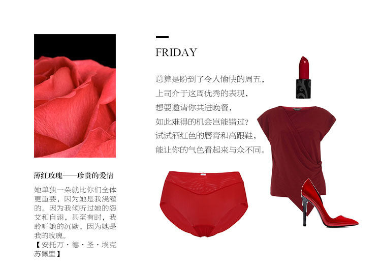 Slip jeunesse AM22100 - Ref 667178 Image 18