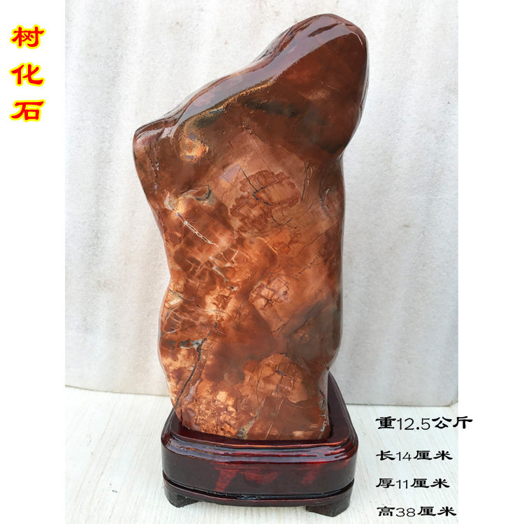 Boutique mummified jade dry material silicated wood raw stone tree fossil collection chite view light stone kop specimen He mountain stone