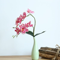 Hoa Dream Valley Phalaenopsis Hoa giả Hoa giả Phòng khách Hoa bonsai Trang trí hoa mới Trang trí nhà mới - Hoa nhân tạo / Cây / Trái cây lan gia hac