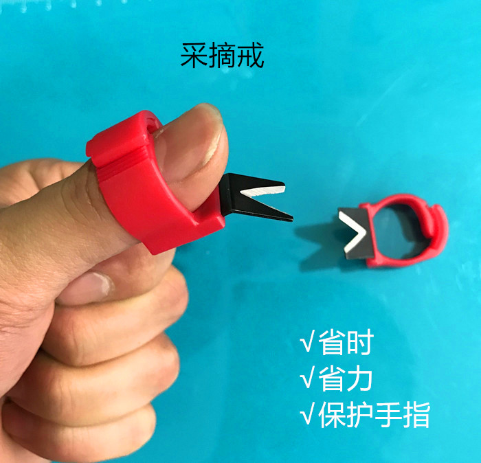 Take off the ring to pick and cut Cucumber Cowpea Silk Melon Guagua Vegetable Plucking Tools