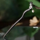 XI LAN [Плохо 发]
