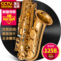 Nipts drop E alto saxophone wind instruments adult beginner band playing double tendon lacquer gold