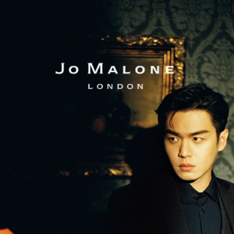 T Sweden imported wallpaper pure paper spot dark black European Damascus wood fiber red wallpaper