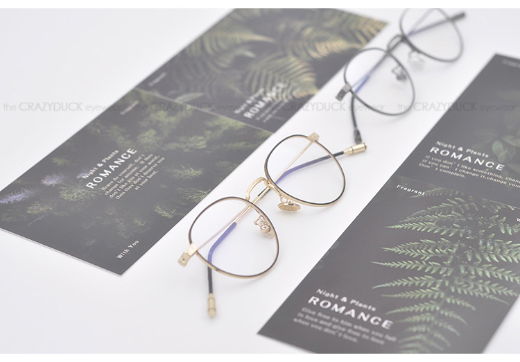 Montures de lunettes en Alliage cuivre-nickel - Ref 3139251 Image 10