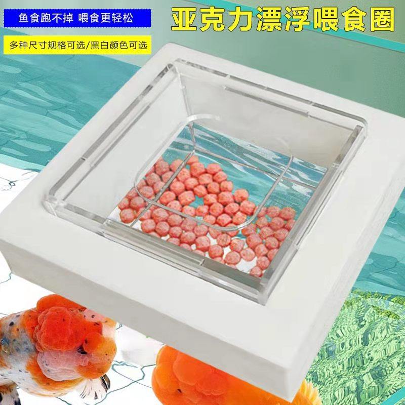 Fish tank floating acrylic feeding circle square large buoyancy peacock feeder feed to feed circle the turtle goldfish