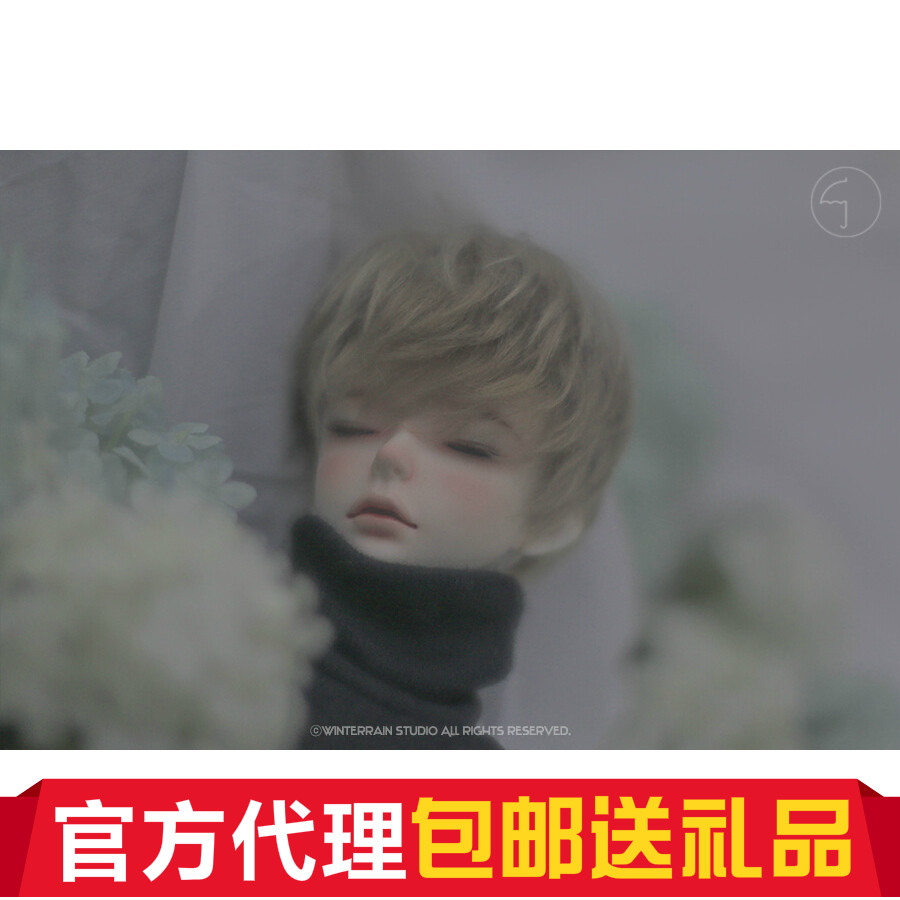 Spot limited first re-opening collection WINTERRAIN SF delivery issued a big fruit BJD