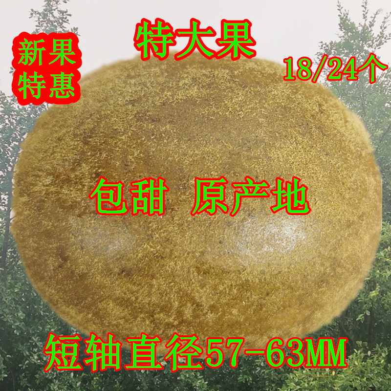 Luo Han Guo Extra Large Fruit Special Grade Luo Han Guo Tea Guangxi Guilin Special Herbal Tea Short Shaft Diameter 57-63mm