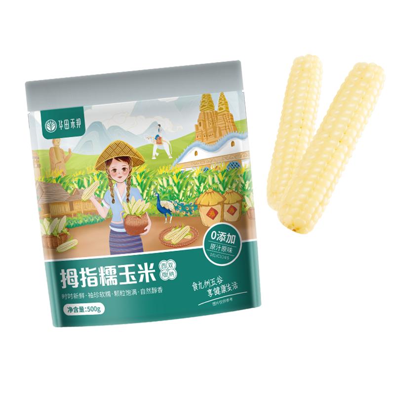 华田禾邦云南西双版纳拇指玉米儿童宝宝2025年新鲜糯小手指玉米棒