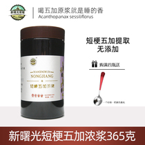 Wild Thorn five Jia ointment five Jia raw pulp short stem five plus thick pulp extract tea seed bottle 365g New Dawn Glory