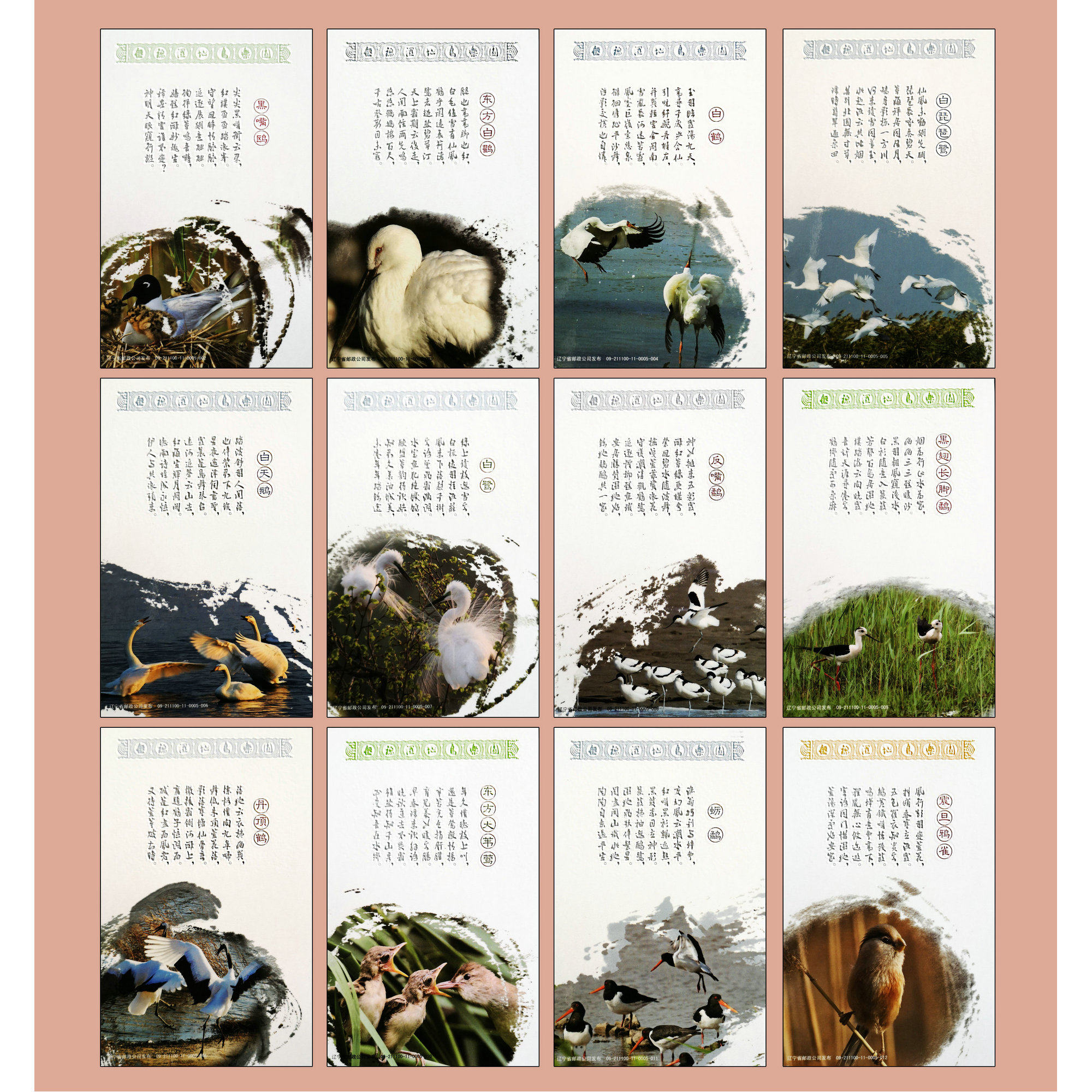 Liaoning Panjin (wetland) bird postage postcard set of 12 Cinda tianxia 80 pieces of postcards