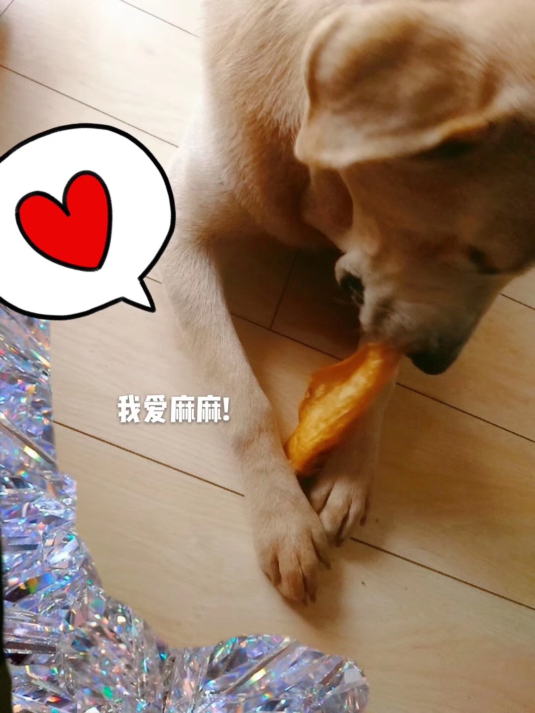 Răng hàm chó, răng sạch, tai chống cắn, lông vàng, samoko, chó cưng, đồ ăn nhẹ, sụn gia súc, túi lớn giòn - Đồ ăn vặt cho chó hạt anf