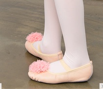 South Korea imported professional childrens dance practice shoes for girls and babies dancing cat claw ballet leather soft-soled shoes