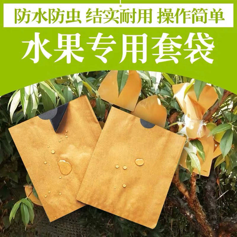 Fruit bag double-layer inner black peach mango special apple pear bag loquat fruit bag bag anti-bird and insect
