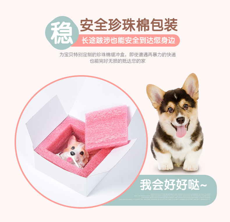 Милый переключатель на стену, защитный чехол, трехмерный блок питания   