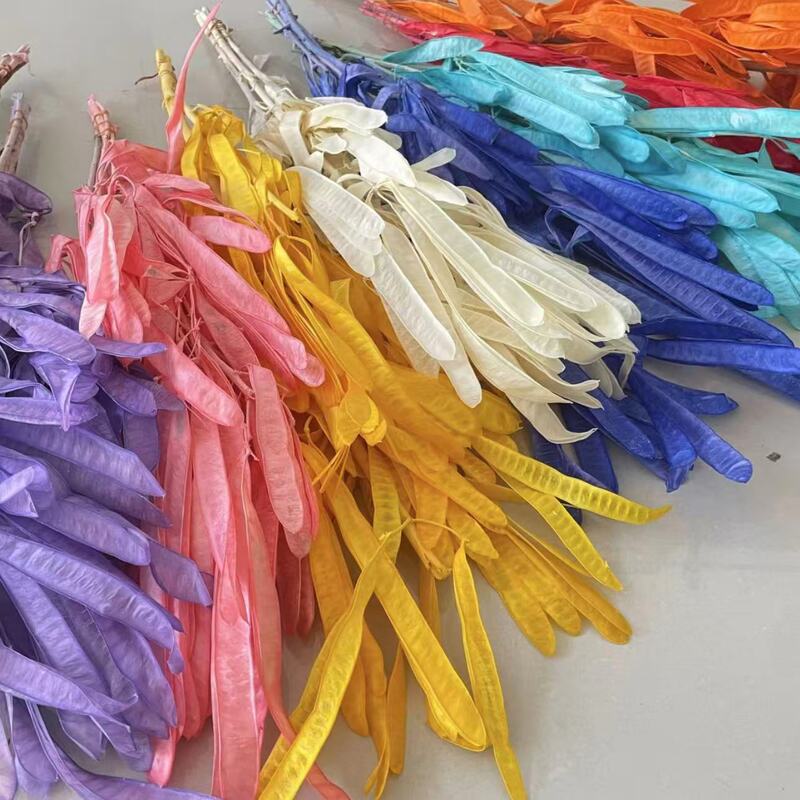 Dried Lentil Pod Flowers, Preserved Flowers, Real Branches for Decoration, Floral Arrangements, Wedding Soft Decor, Display, Landscaping, Artificial Flowers