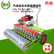 Supply vegetable planter coriander spinach precision planter hand-push rapeseed seed spot Seeder