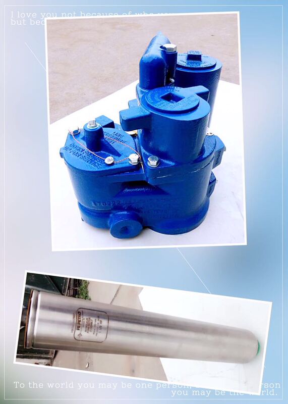 American Franklin Submersible Pump Fuel Dispenser Blue Jacket Stp150/75B Kit Submersible Oil Pump Motor Assembly