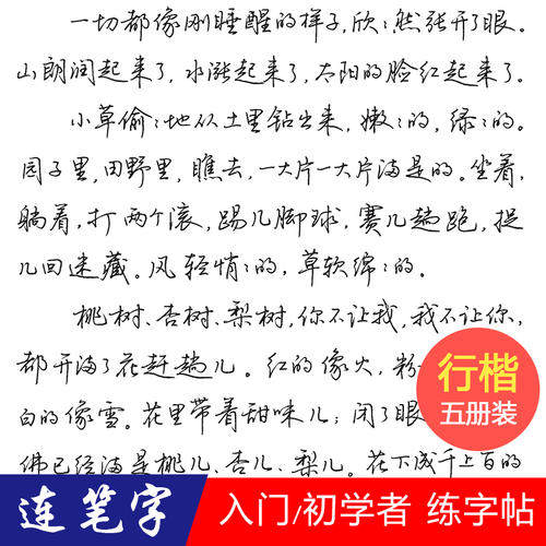 荆霄鹏行楷速成练字套装 成人初学者行书字帖 7天速成教学-Taobao-Tmall