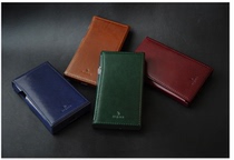 Dignis Avery and SE100 Leather Protective Case holster