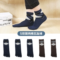 1717Z Blue 3 Coffee 2 [Mid -Tube Model]