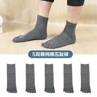 ZMP160 Deep Grey 5 [Модель средней трубки]