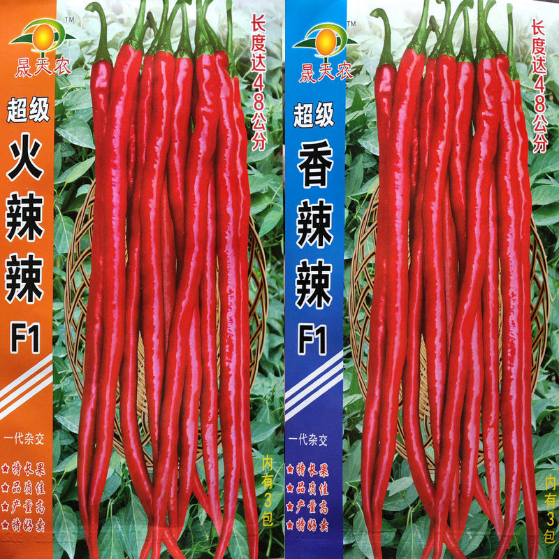 Spring and summer autumn Datian base planting vegetables Rapeseed Generation Hybrid long Fruit Fire Hot Chili Pepper Seed Line Pretzels High Yield