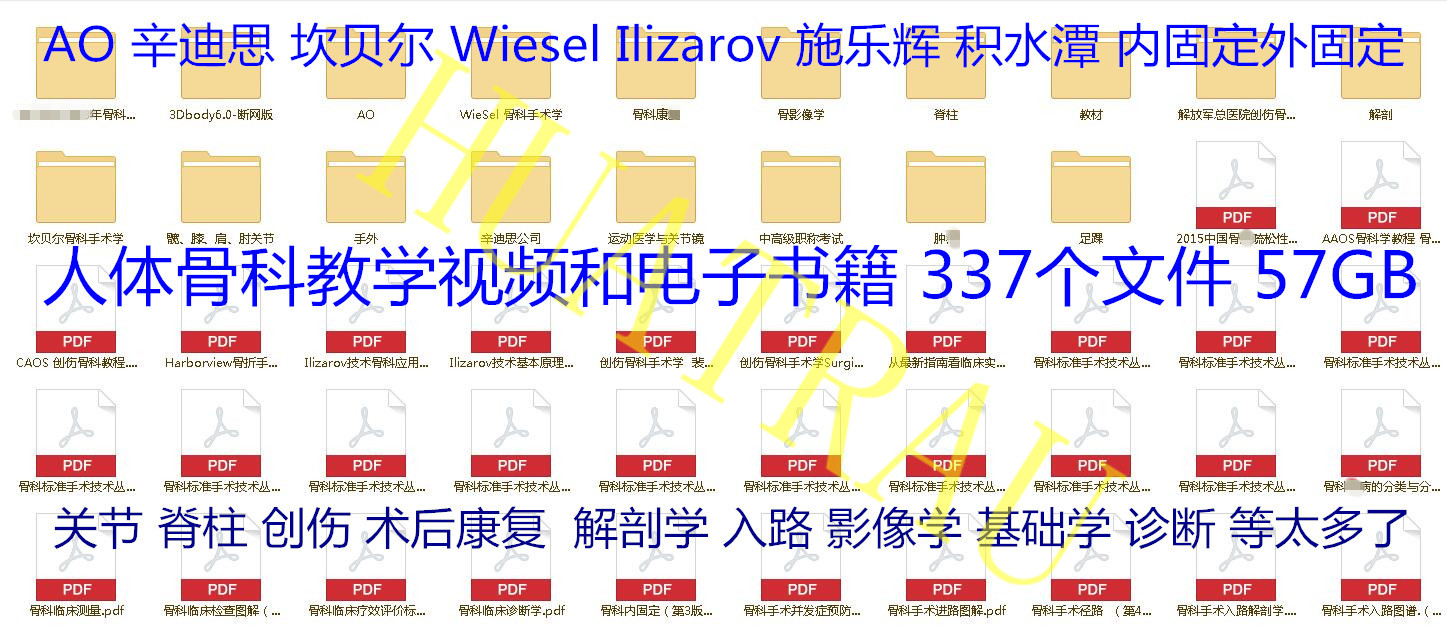 骨科手术视频教学电子书籍 AO辛递斯关节创伤脊柱影像入路学 教程