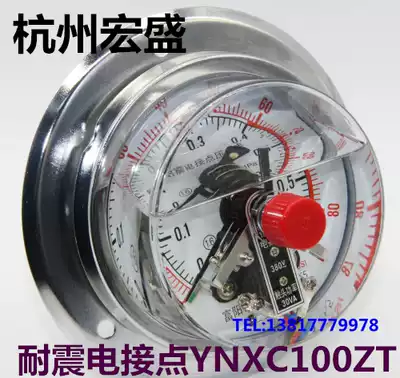 YNXC-100ZT AXIAL MAGNETIC-assisted earthquake-RESISTANT electric contact PRESSURE GAUGE 40MPA Hangzhou HONGSHENG PRESSURE GAUGE 30VA