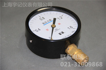 Shanghai pressure reducer Factory Co. Ltd YO100 series oxygen gauge