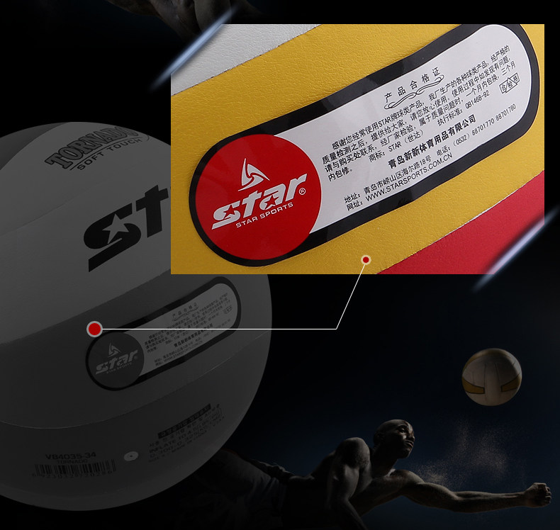 Ballon de volley - Ref 2015927 Image 13