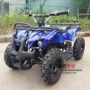 Electric Bull 500W 36v Điện Bốn bánh ATV Xe taxi đồ chơi Little Bull xe moto mini cho nữ