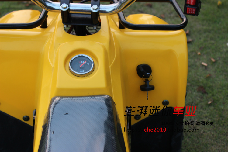 Điện Mini ATV 48v20AN Trục động cơ Không chổi than Công viên Sân chơi Taxi Bốn bánh cào cào mini